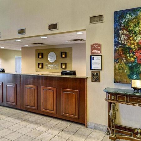 Comfort Inn & Suites Hot Springs Central Exteriör bild